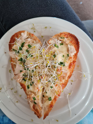 Chicken and Cheese Toast with Bush Blend