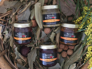Native Jam Sampler Pack